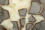 Polished Septarian Nodule Half - Utah #378437-1